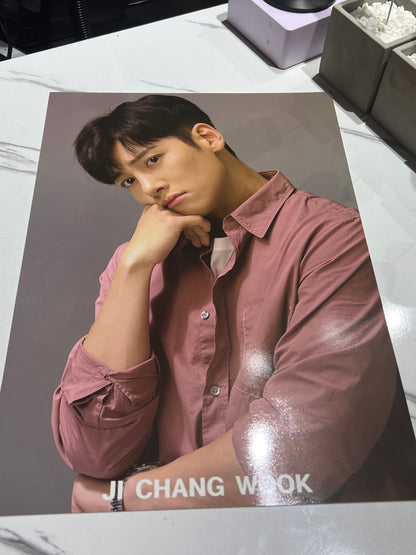 JI CHANG WOOK POSTERS