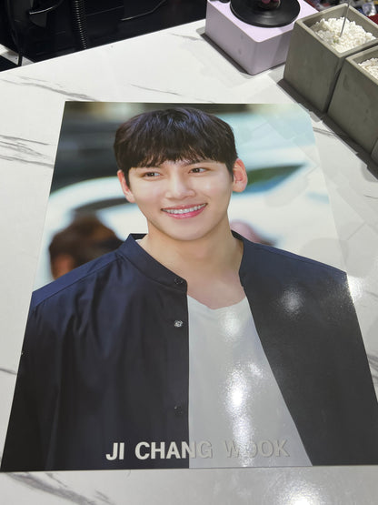 JI CHANG WOOK POSTERS